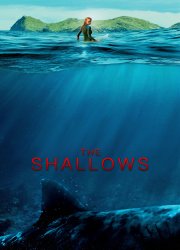 Watch The Shallows