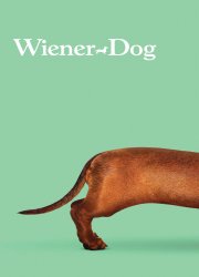 Watch Wiener-Dog