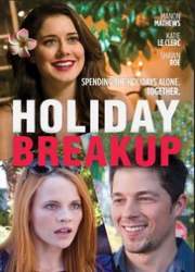 Watch Holiday Breakup 