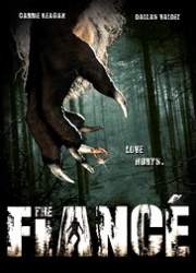 Watch The Fiancé