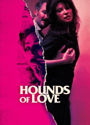 Watch Hounds of Love