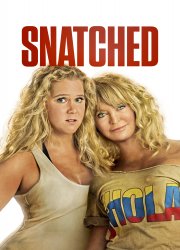 Watch Snatched