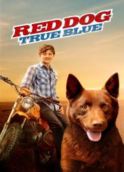 Watch Red Dog: True Blue