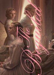 Watch The Beguiled
