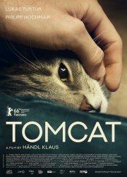 Watch Tomcat