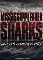 Watch Mississippi River Sharks