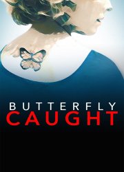 Watch Butterfly Caught
