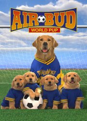 Watch Air Bud 3: World Pup