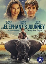Watch An Elephant's Journey