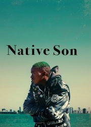 Watch Native Son