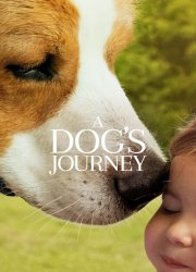 Watch A Dog's Journey