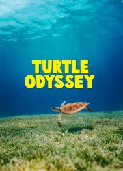 Watch Turtle Odyssey