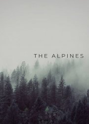Watch The Alpines