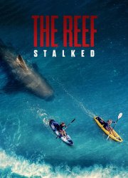 The Reef 2: Stalked