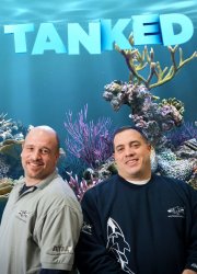 Watch Tanked Unfiltered: Swimming with Sharks