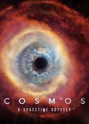 Watch Cosmos: A Space-Time Odyssey
