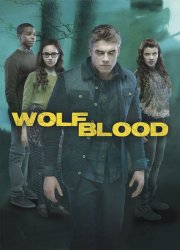 Watch Wolfblood Season 3