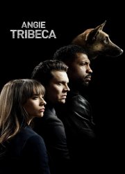 Watch Angie Tribeca Season 1