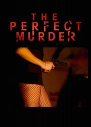 Watch The Perfect Murder Season 4