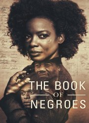 Watch The Book of Negroes Season 1