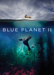 Watch Blue Planet II Season 1