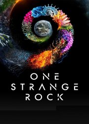 Watch One Strange Rock
