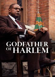Watch Godfather of Harlem Season 1