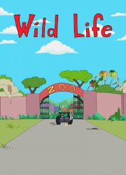 Watch Wild Life Season 1