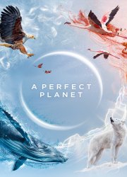 Watch A Perfect Planet Season 1