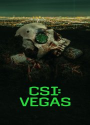 Watch CSI: Vegas Season 3