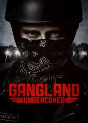 Watch Gangland Undercover Season 2