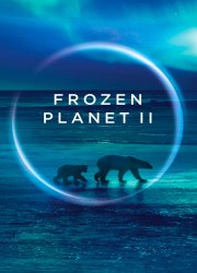 Watch Frozen Planet II Season 1