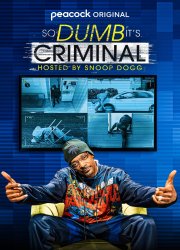 Watch So Dumb It's Criminal: Hosted by Snoop Dogg Season 1